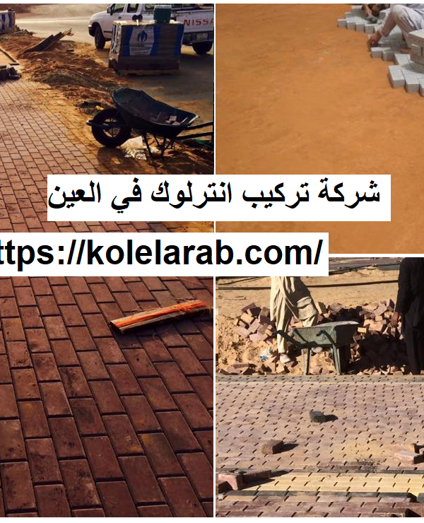 شركة تركيب انترلوك في العين