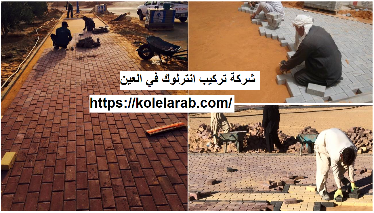 شركة تركيب انترلوك في العين